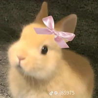 Hệ Thống 0252 "Chip"