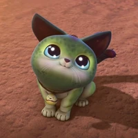 Cattus