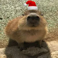 kisa (dạng thú nhân)