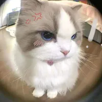 t/g đáng iu nhất t/g