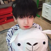Tả Kỳ Hàm