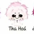 Hiha_Tha hóa