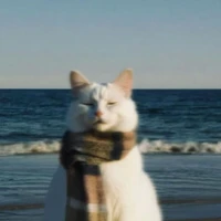 HT - ARES01 - Mồm Lèo