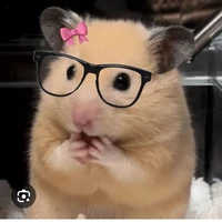 hệ thống bị khùng kk