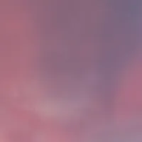 ?????