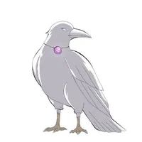 Haji