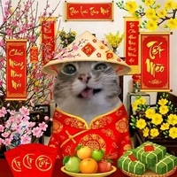 tác giả nèe