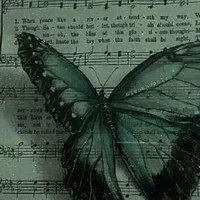 Bướm xanh - pet của zhr