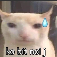 t/g xồn làm