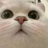 All