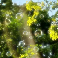 clb võ thuật-@clbvothuat