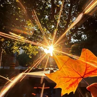 Clb Thể Thao{@TheThao_totchosuckhoe}