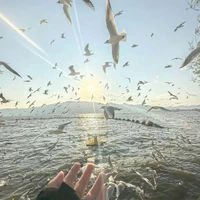 Clb Võ Thuật{@VoThuat_vandekinang}