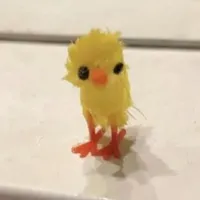 ? ? ?