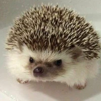 𝐇𝐞̣̂ 𝐭𝐡𝐨̂́𝐧𝐠 𝟐𝟐𝟐