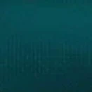 𝐍𝐡𝐚̂𝐧 𝐯𝐚̣̂𝐭 𝐩𝐡𝐮̣ 𝟏