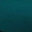 𝐍𝐡𝐚̂𝐧 𝐯𝐚̣̂𝐭 𝐩𝐡𝐮̣ 𝟐