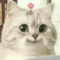 Nhóm xuyên không 