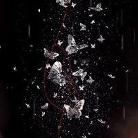 『 𝐍𝐠𝐮̛𝐨̛̀𝐢 𝐁𝐢́ 𝐀̂̉𝐧 』