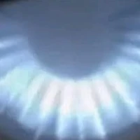 『Đ𝐚́𝐦 𝐐𝐮𝐚́𝐢 Vật』