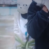 alpha