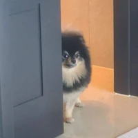 tác giả phụ(bạn e)