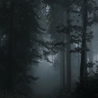 Zero-Hắc ám