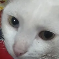 all(trừ ai thì trừ)