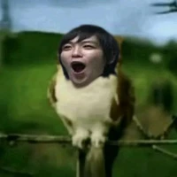 nv phụ