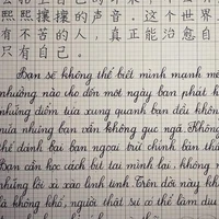 Nhân vật phụ