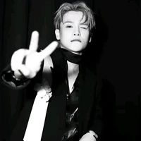 Phạm Đình Thái Ngân( Thái Ngân)