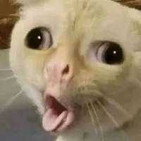 Nhóm xk