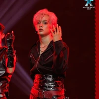 Bùi Trường Linh 《Buitruonglinh》