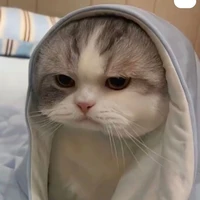 Tác giả tự kỉ