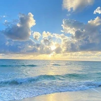 mega_school@saoykienko