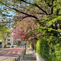 ⋆. CLB truyền thông@sachsemaaicungnoiban