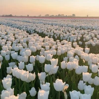 ᨶ႒ᩚCLB nhảy@saonao