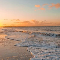 𐚁๋࣭⭑ֶָ֢CLB nhạc @yeucacbe