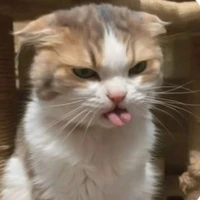 tg