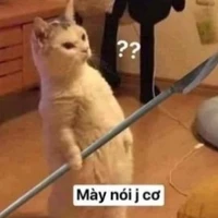 đa nv