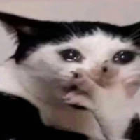 tác giả skibidi toilet