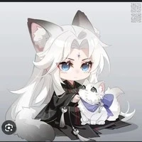 hệ thống 008/ Kaito