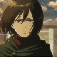 Mikasa