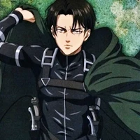 levi