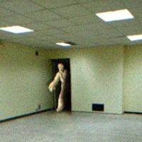 Entity 10 - "Skin-Stealer"