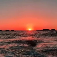 t/g lười
