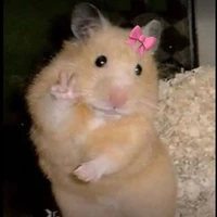 Tác giả cute