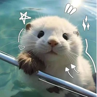 Tác Giả 🐻