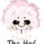 hiha tha hóa