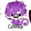 hiha catnap